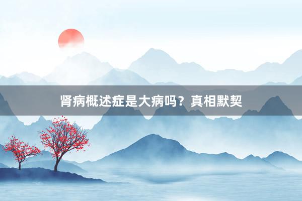 肾病概述症是大病吗?真相默契